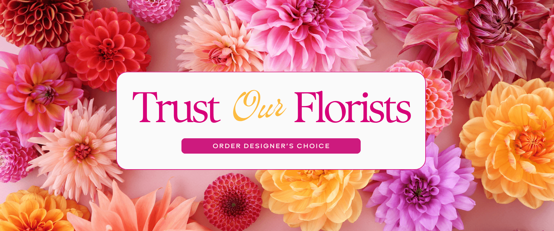 Designer's Choice Summer